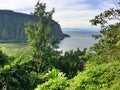 Scenic cliffs and ocean at WaipiÃ¢â¬â¢o Valley on the Big Island of Hawaii